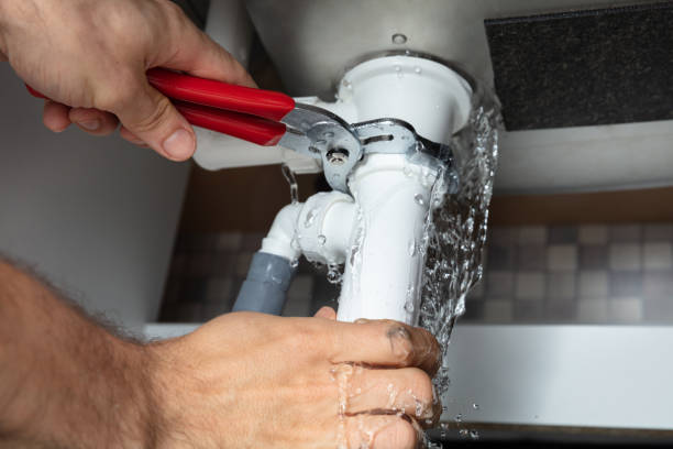Best Mold removal after water damage  in Manhasset, NY