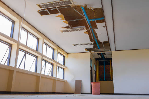 Best 24/7 water damage repair  in Manhasset, NY