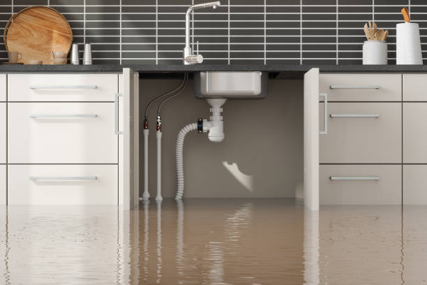 Best Mold removal after water damage  in Manhasset, NY
