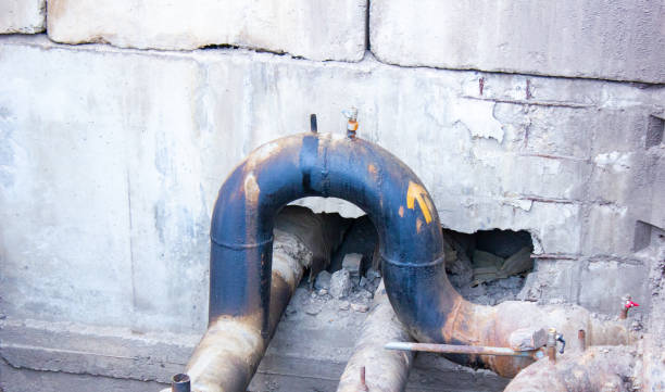 Best Flood damage cleanup  in Manhasset, NY