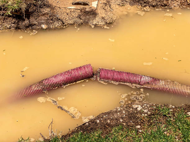 Best Water damage restoration cost  in Manhasset, NY