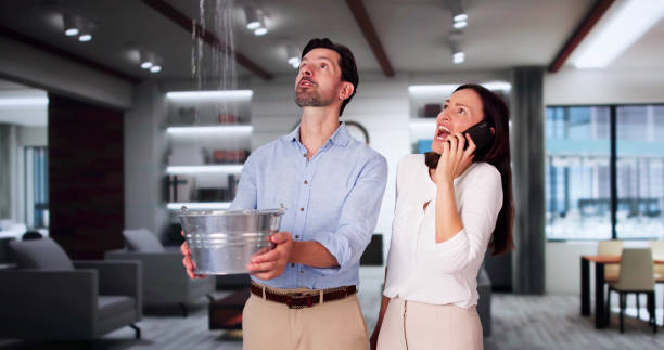 Best 24-hour water damage restoration  in Manhasset, NY